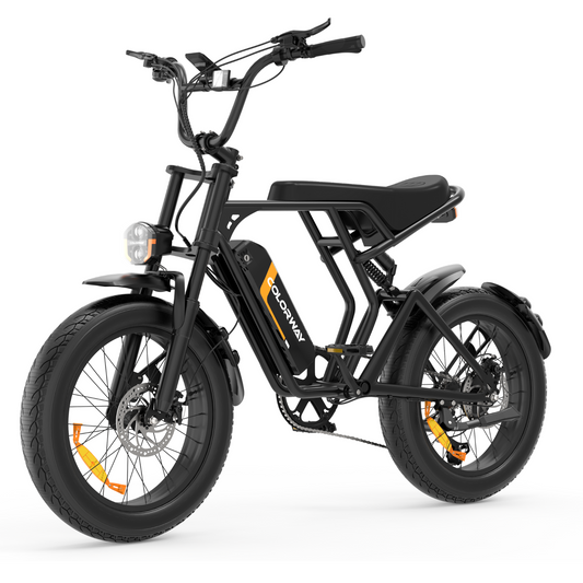 Electric Bike BK29MT
